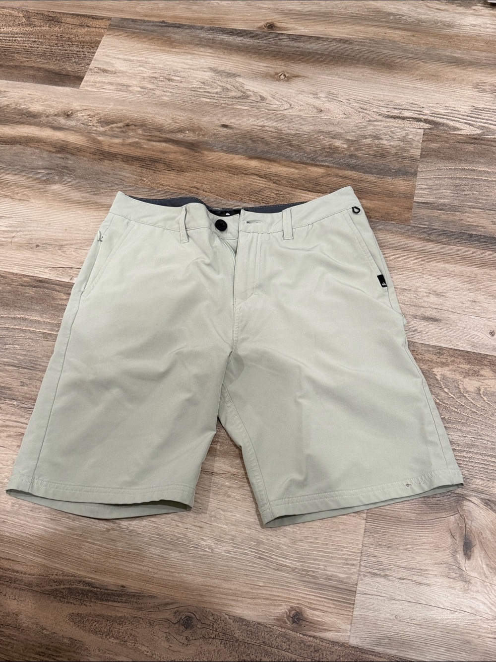 Quicksilver Men's Light Sage Performance Shorts
